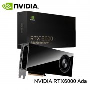 NVIDIA RTX6000 Ada 48GB